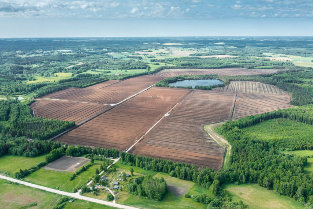 peat bog latvia scaled